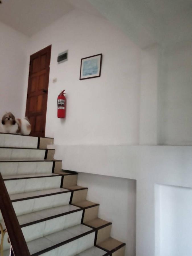 Ban Elephant Blanc Apartment Ката-Бич Экстерьер фото